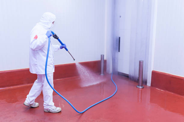 Best Patio and Deck Pressure Washing  in Pu, HI